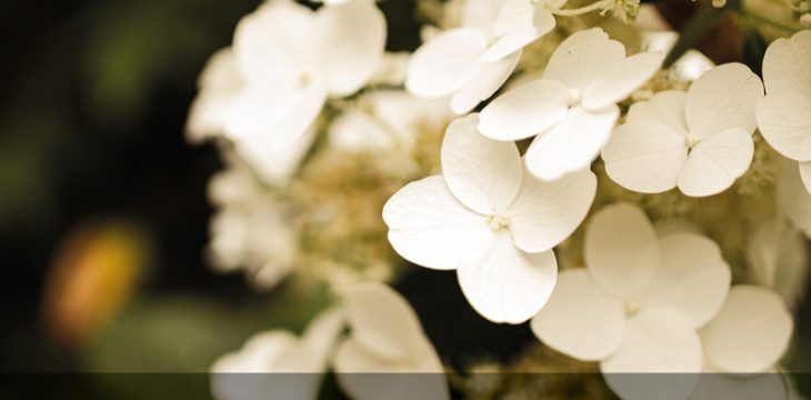 Einladung zur Gedenkfeier am 22. November 2025